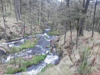 paseo por el rio